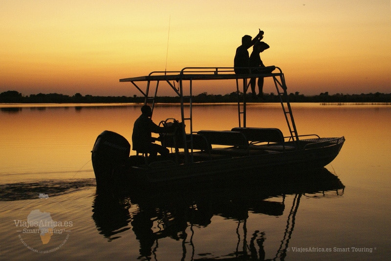 Safari África