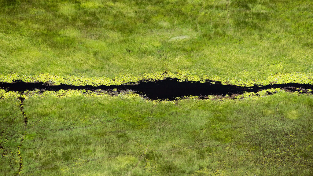 Canal del Delta del Okavango entre la vegetación en Botswana